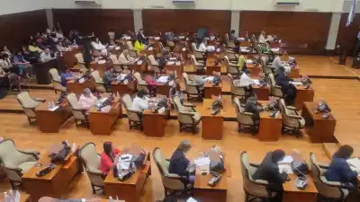 Denunció que la Legislatura se convirtió en un escudo del Gobierno y reveló qué pasa con los proyectos opositores