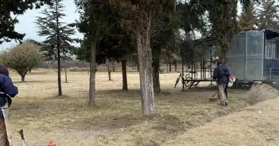 San Carlos refuerza la limpieza en parques: ¿qué encontraron los operarios?