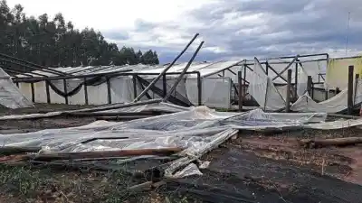 El temporal que devastó La Criolla: la reconstrucción de los viveros tomará meses