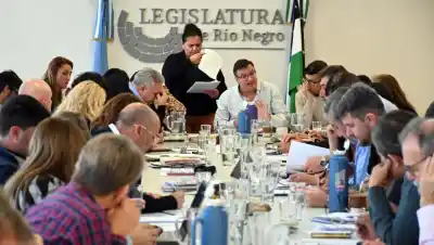 Río Negro: el plan de tasas para Comisiones de Fomento que se define en la Legislatura