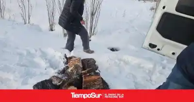 Nieve en Las Heras: el operativo conjunto que mantiene en pie a la localidad