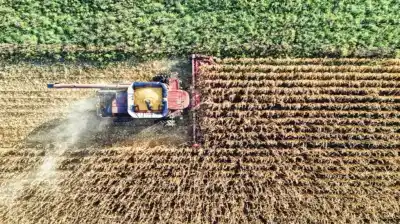 El agro argentino frente al mundo: el dato que preocupa más allá de los costos