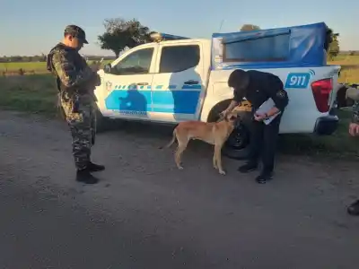 Allanamiento en Basail: encontraron cuatro perros en condiciones de abandono y los rescataron