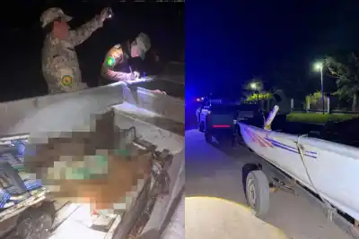Un control rural terminó con cuatro cazadores furtivos sorprendidos con armas y media res de carpincho