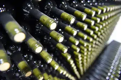 Denuncian que el INV "inventó" casi 1,5 millones de litros de vino: ¿error o algo más?