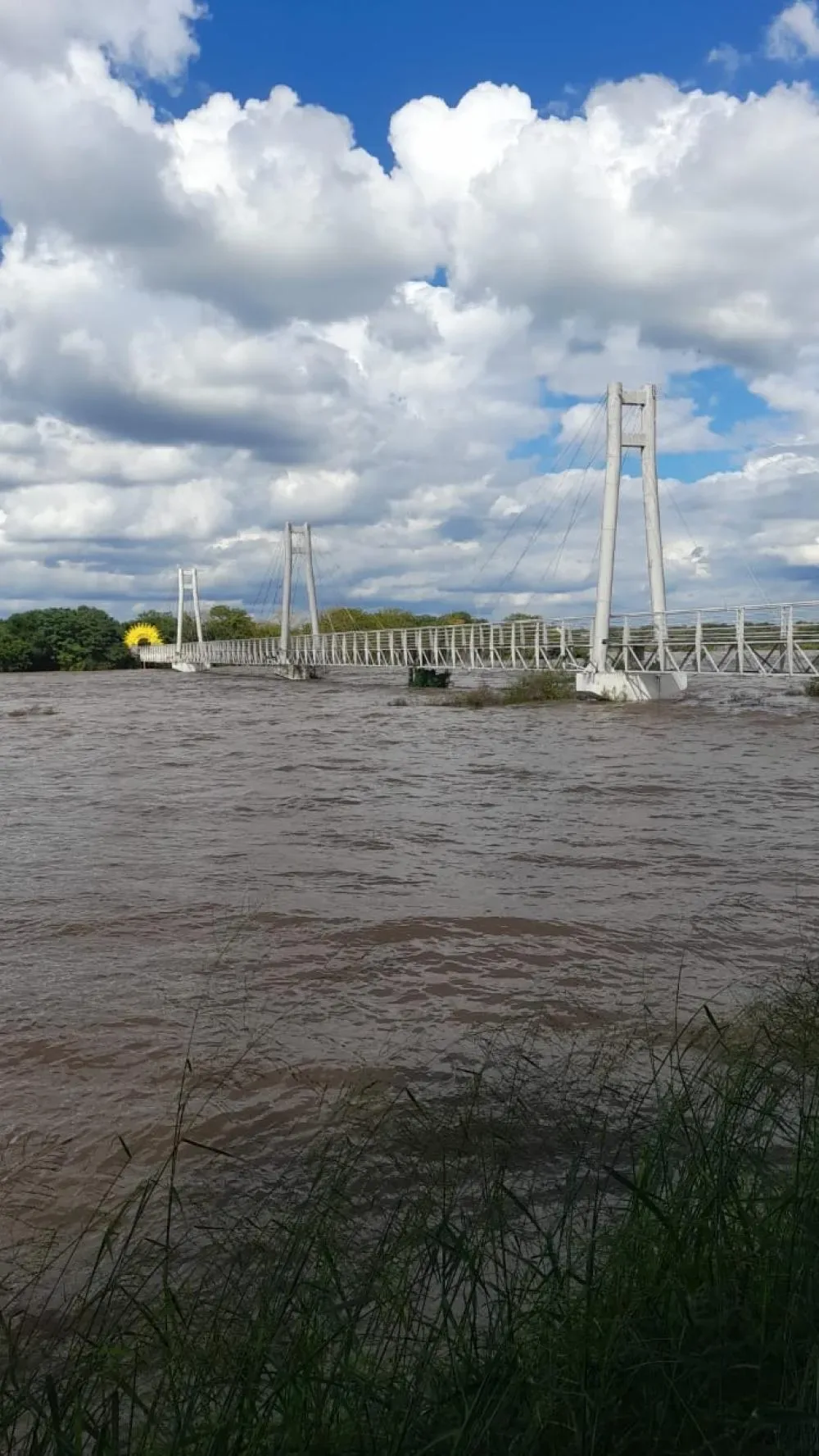 Imagen de la situación en el río Dulce