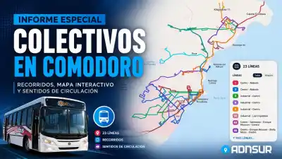Nuevo sistema de colectivos en Comodoro: el mapa interactivo que tenés que conocer