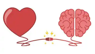 La UNCA lanza una Diplomatura en Educación Emocional: ¿cómo anotarse?