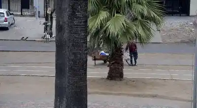 Caminaba con una viga de 4,5 metros y las cámaras lo delataron: qué dijo al ser descubierto