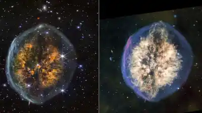 El telescopio James Webb capturó una imagen que parece un cerebro flotando en el espacio