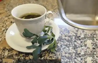 Alerta en Tucumán: quiénes deben evitar el té de ruda este 1 de agosto y por qué