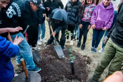 Plantaron árboles en la escuela Soler que fueron entregados por la comuna