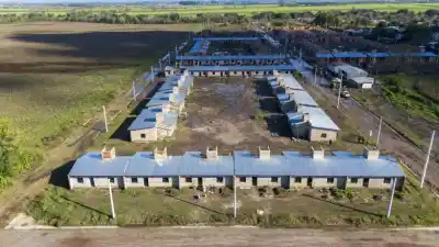 El avance que promete transformar Bella Vista: la obra de 182 viviendas ya superó un hito clave