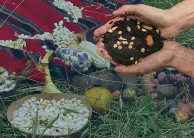 Pachamama: el paso a paso para honrar a la Madre Tierra en tu casa