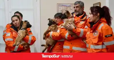 Santa Cruz suma cuatro pastores belgas malinois para operativos de búsqueda y rescate