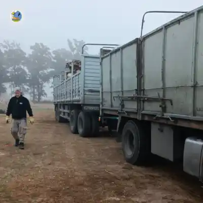 El impactante logro ambiental de Las Perdices: 40 mil kilos de vidrio fuera de la basura