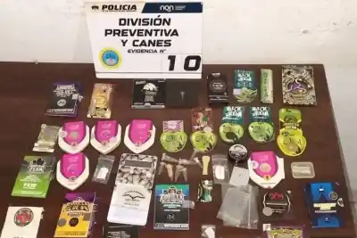 Allanamiento en Bouquet Roldán: secuestraron más de 400 gramos de cannabis y una fortuna en efectivo