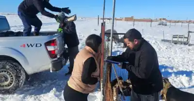 Temporal de nieve en Las Heras: el operativo provincial que llegó a cada barrio