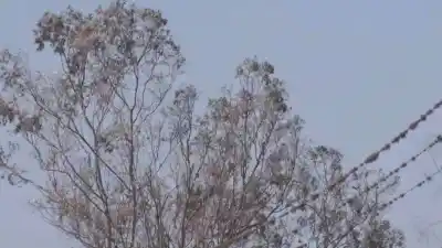 Viento en Jujuy: las ráfagas que sacuden San Salvador y la alerta que nadie esperaba