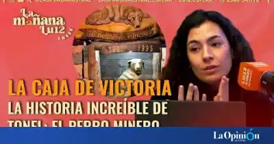 El perro que trabajó 12 años en la mina: la historia que emociona a Río Turbio