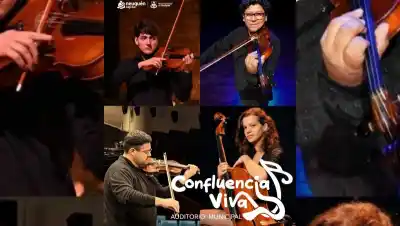 Música de cámara gratuita: el Cuarteto Confluencias llega al Auditorio Municipal