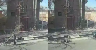 El Zonda no dio tregua: una rama gigante cayó sobre un hombre en Guaymallén