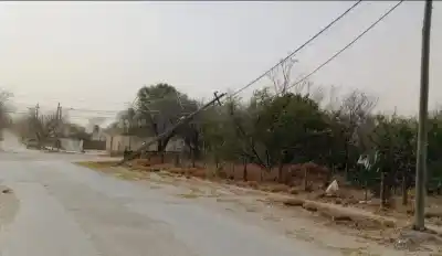 El viento Zonda azotó Valle Fértil: árboles caídos y cortes de luz en plena tarde
