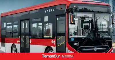 ¿Qué espera Magallanes antes del debut del nuevo transporte público?