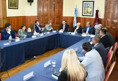 Senadores salteños pactan consulta previa con pueblos originarios antes de debatir la ley de fibra de vicuña