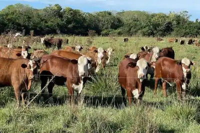 La deuda millonaria que persigue a San Roque: intiman al municipio por más de 15 millones