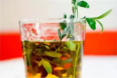 Caña con ruda: ¿tres tragos o siete sorbos? El ritual del 1° de agosto que nadie quiere perderse
