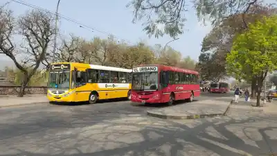 Reordenamiento total del transporte: estas son las nuevas líneas de colectivos que empiezan a circular en la capital