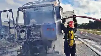 El fuego arrasó con un camión cargado de aserrín en la ruta 14