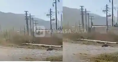 El viento Zonda golpea fuerte en Salta: derribó un poste y cortó la Ruta 36