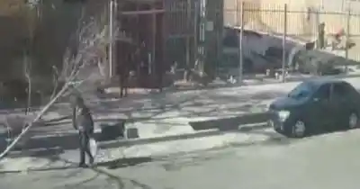 El Zonda derribó un árbol sobre un hombre en Guaymallén y quedó tendido en plena calle