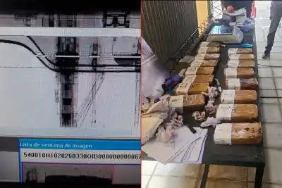 El insólito escondite que encontró la Aduana en un camión cerealero en Concordia