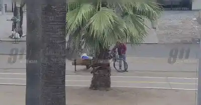 El robo que las cámaras captaron en pleno centro: la Policía lo atrapó con las pruebas encima