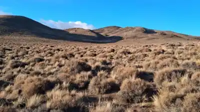 Tensión por la Ley de Tierras: el dato que expone a un departamento neuquino y la advertencia de la Iglesia
