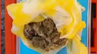 Un control de rutina terminó en un hallazgo que dejó helados a los efectivos
