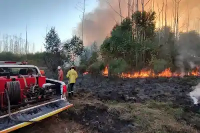 Alerta en Corrientes: ¿qué zonas están en riesgo extremo de incendios?