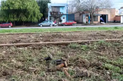 El tren descarriló en Roca y los operarios lograron una reparación récord