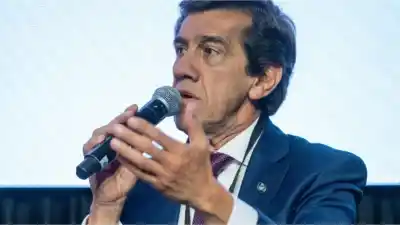 Nuevo blindaje fitosanitario: Sadir refuerza los controles para proteger a los bananeros jujeños