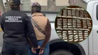 El instinto de 'Apolo' destapó un cargamento oculto: una mujer detenida con 1.000 pastillas