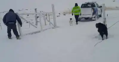 Nieve, hielo y rutas peligrosas: así es el operativo que desplegó la Policía Caminera en Santa Cruz