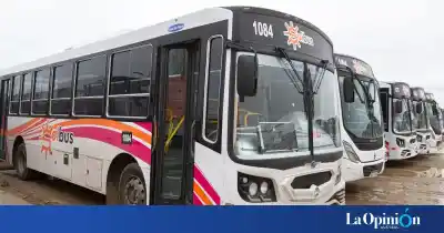 Cambia el mapa del bondi en Comodoro: conocé las nuevas líneas y recorridos