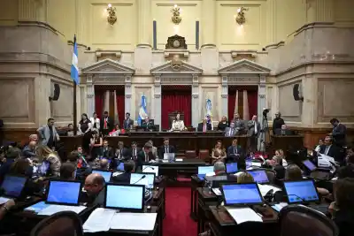 División total: así se posicionaron los senadores tucumanos en las leyes que marcan la agenda nacional