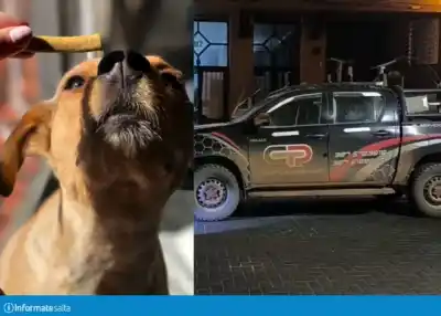 Atropelló y mató a Lola en Salta: la empresa del conductor lo echó y salió a pedir disculpas