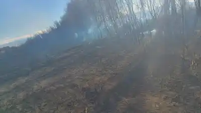 El viento Zonda desató el caos: incendios arrasaron fincas y casi queman una casa en Chimbas