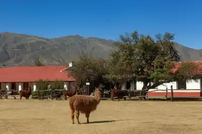 Firman un acuerdo clave para que Tafí del Valle siga entre los mejores pueblos del mundo: qué cambia para los turistas
