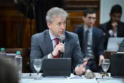 La UCR desafía al Gobierno y arriesga la sesión del Senado por la Ley de Tierras